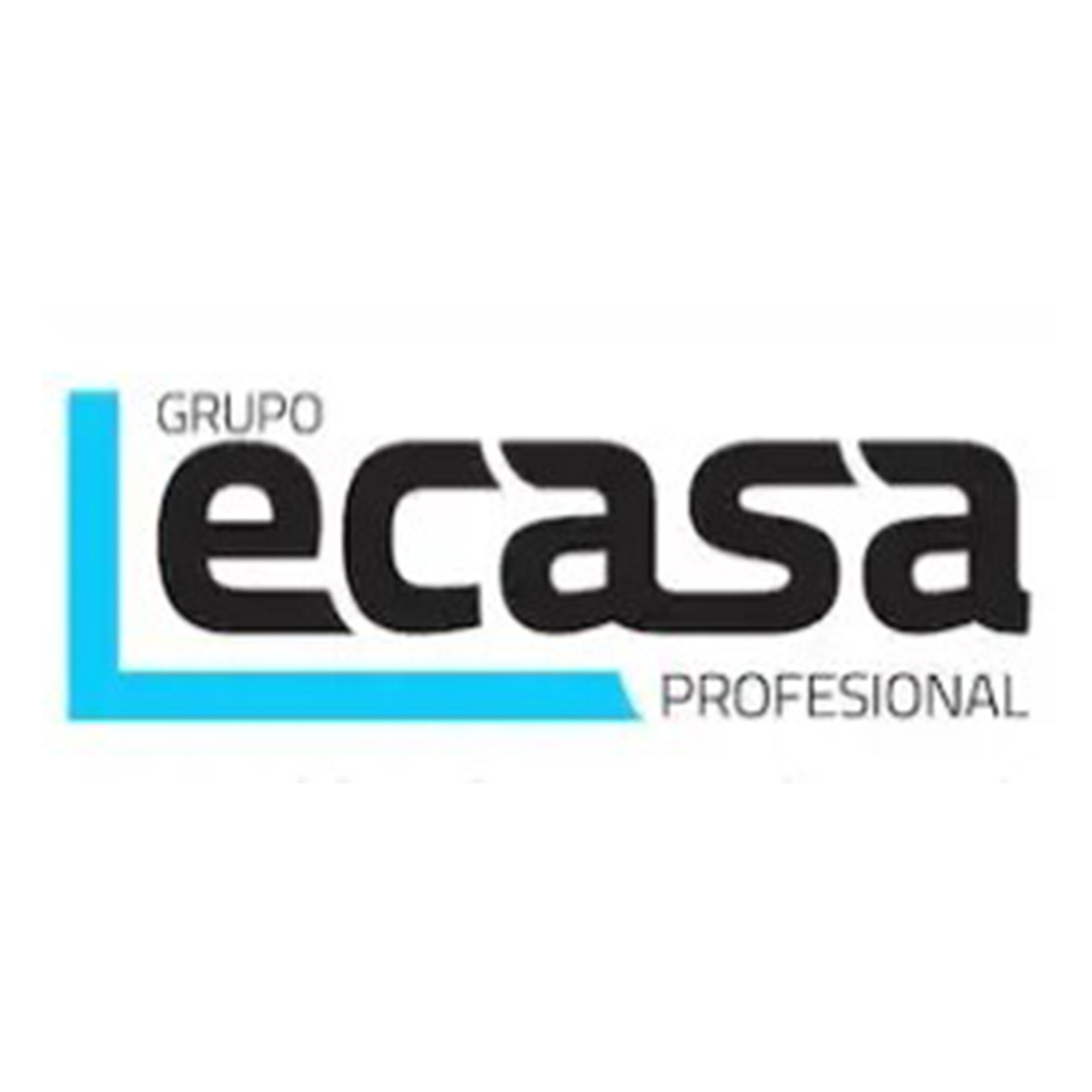 Grupo Lecasa